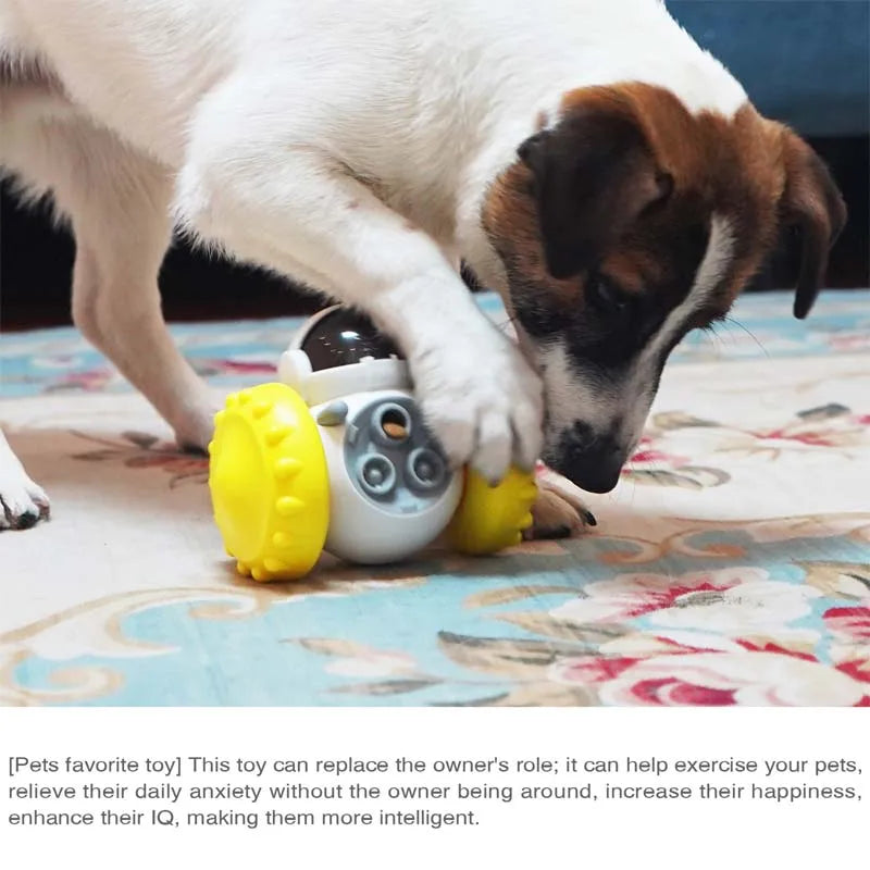 Giocattolo Puzzle Dispenser Cibo - Interattivo Anti Noia